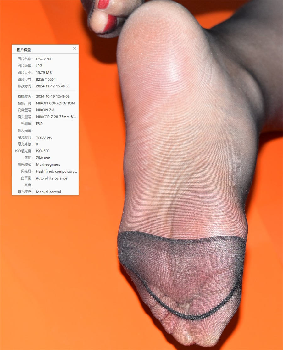 预览 (1).jpg